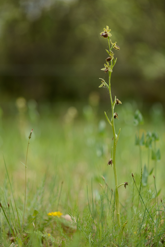 PW20160501_101117_LR5.jpg