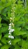 20160611_123729.jpg