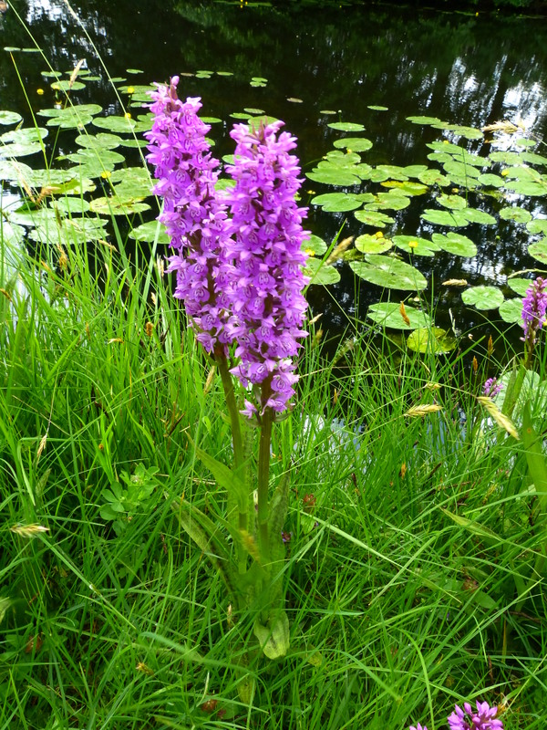 P1230612 - kopie.JPG