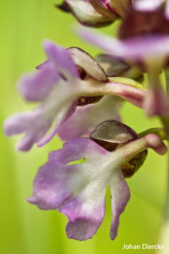 JD_20090425_056.jpg