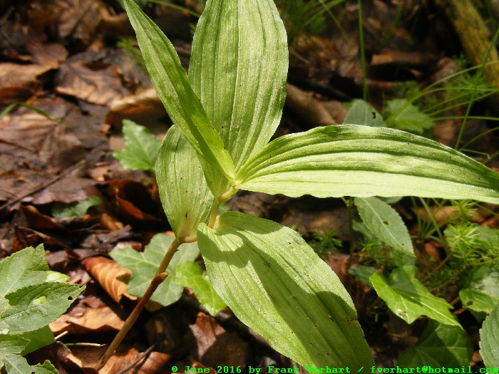 DSCF6751.JPG