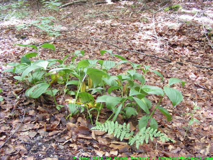 DSCF6847.JPG