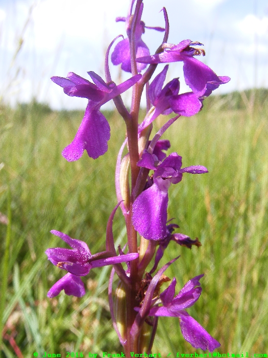 DSCF6904.JPG