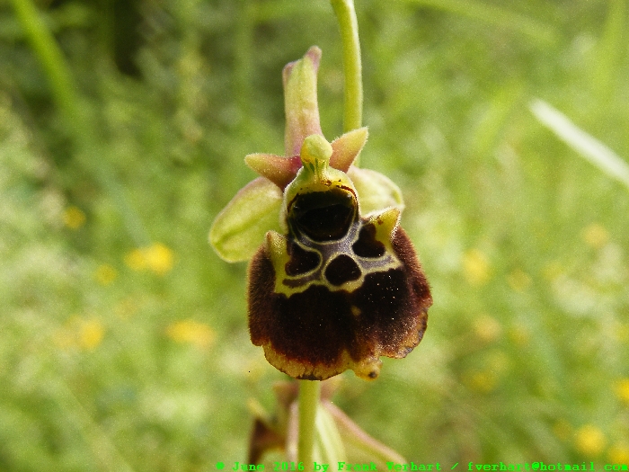 DSCF6933.JPG
