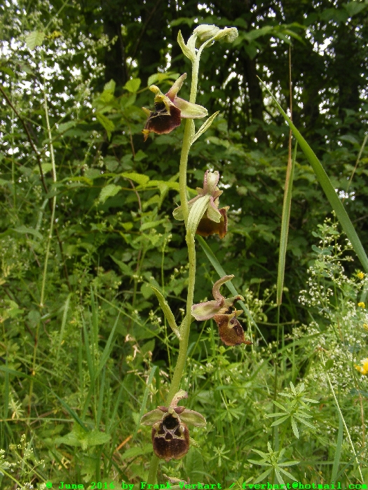 DSCF6936.JPG