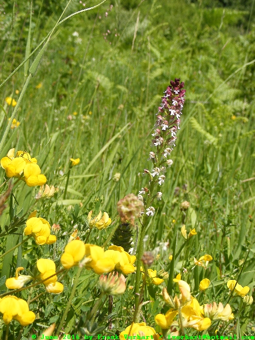 DSCF6959.JPG