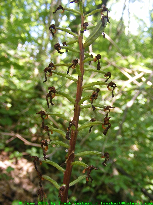 DSCF7254.JPG