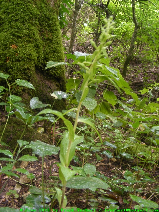 DSCF7201.JPG