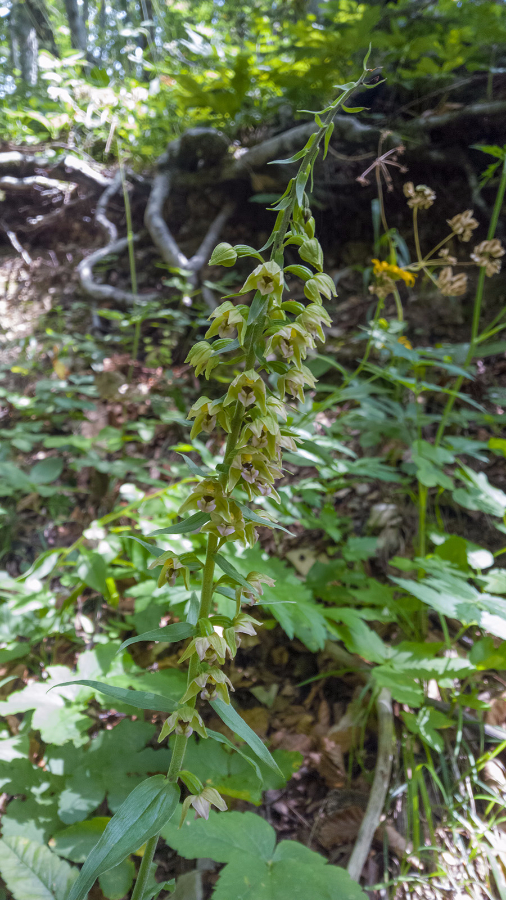 WP_20160727_11_43_24_Raw__highres.jpg