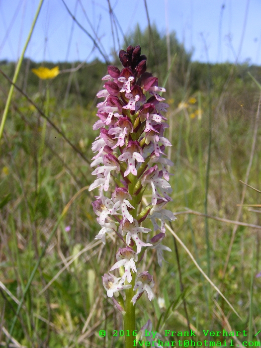 DSCF4465.JPG