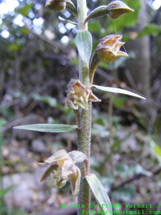 DSCF4813.JPG