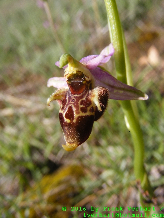DSCF5040.JPG