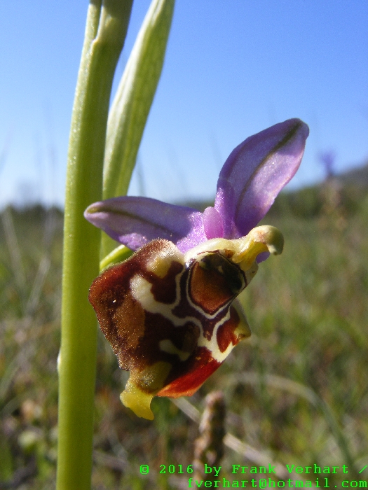 DSCF5049.JPG