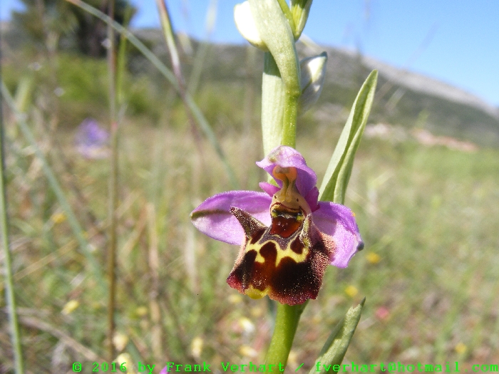 DSCF5054.JPG