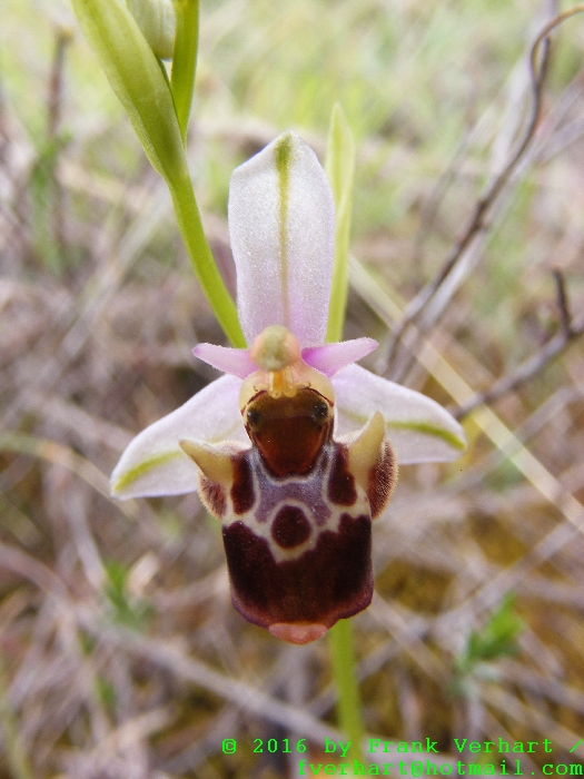DSCF5073.JPG