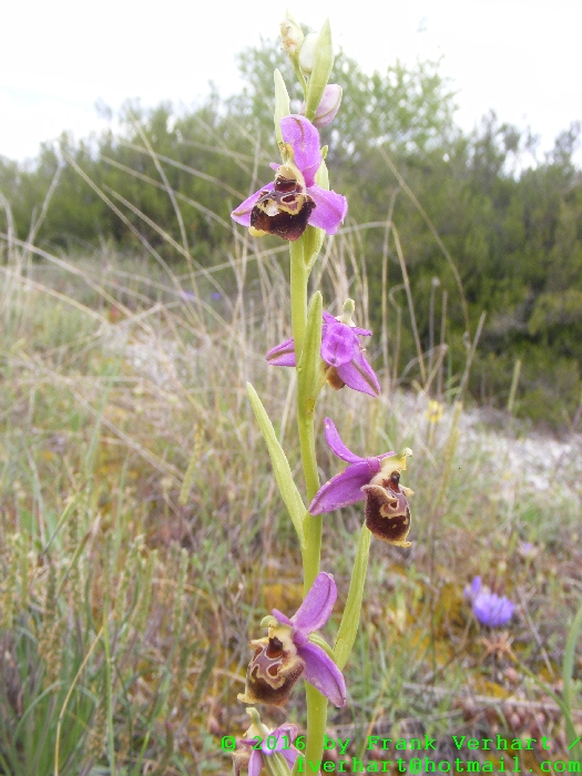 DSCF5081.JPG