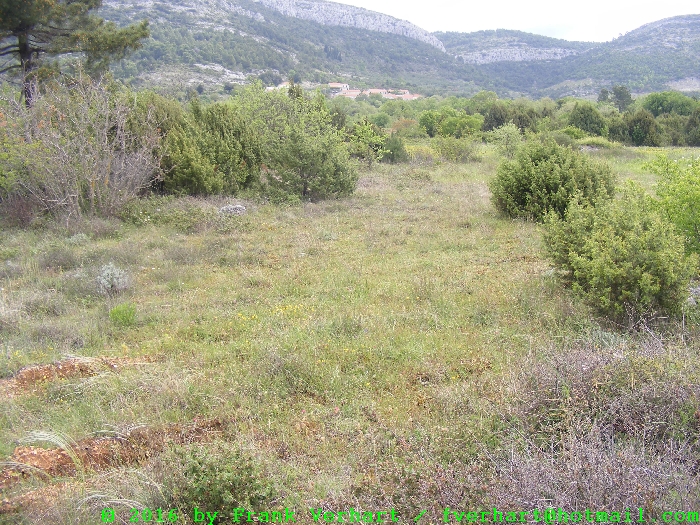 DSCF5080.JPG