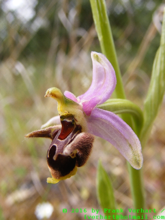 DSCF5166.JPG