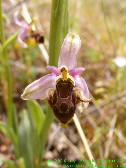 DSCF5168.JPG