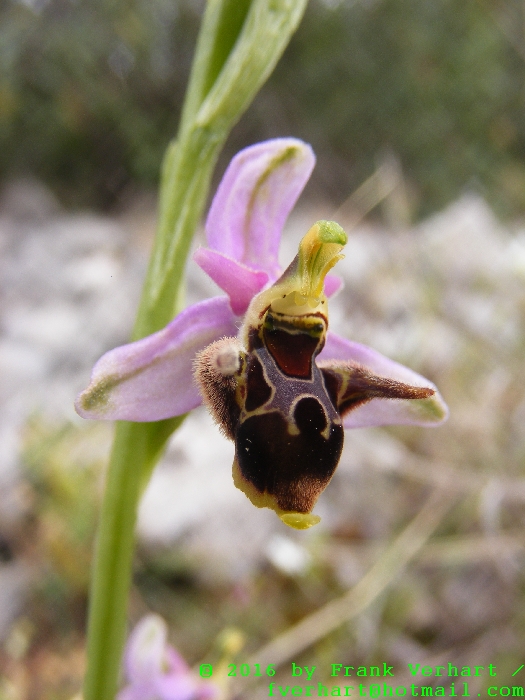 DSCF5174.JPG