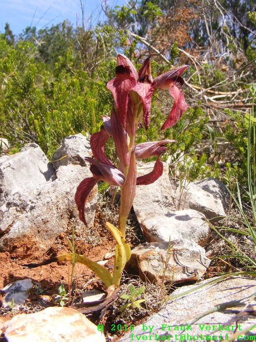 DSCF4790.JPG