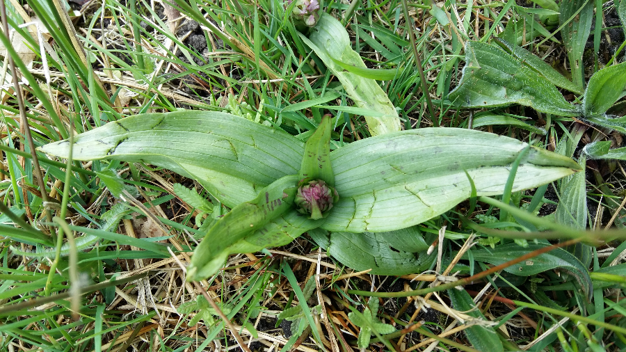 20170421_133531.jpg