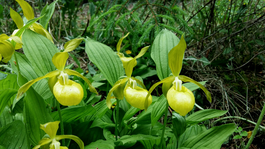 20170626_150328~2.jpg
