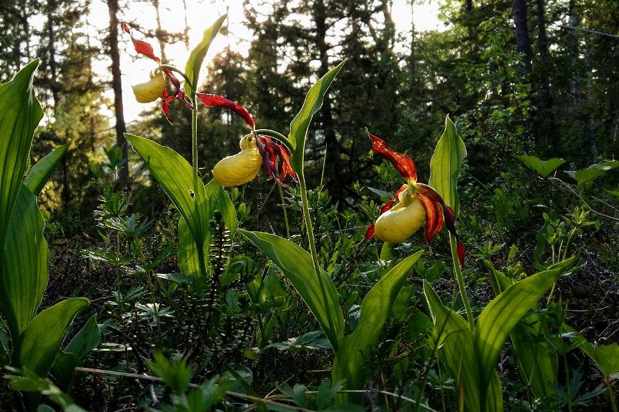 20170628_214029~2.jpg