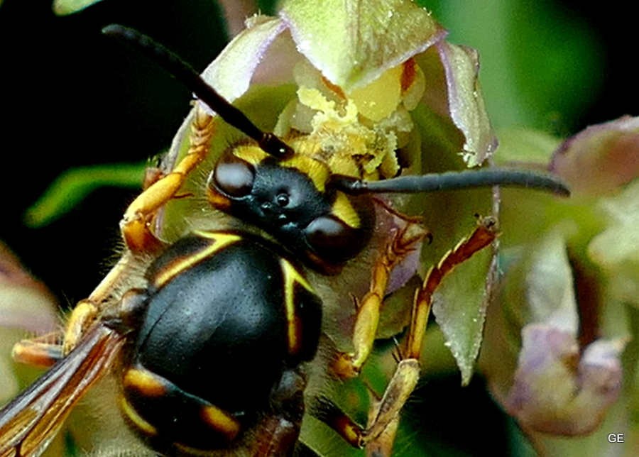 1-P1480240-004.JPG
