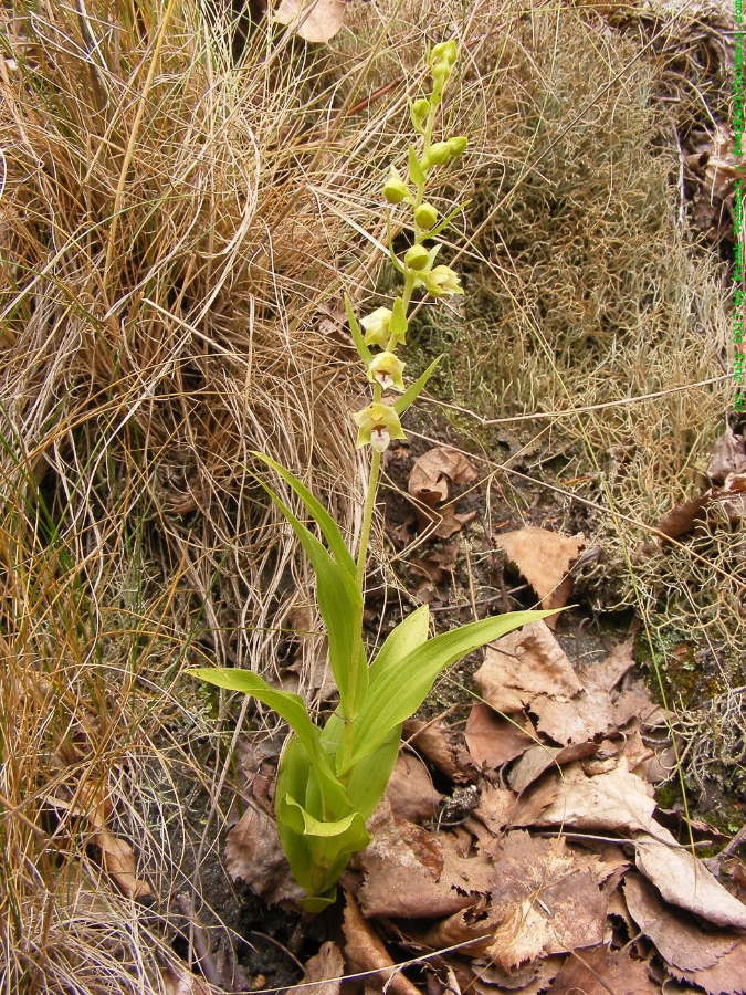DSCF0645.JPG