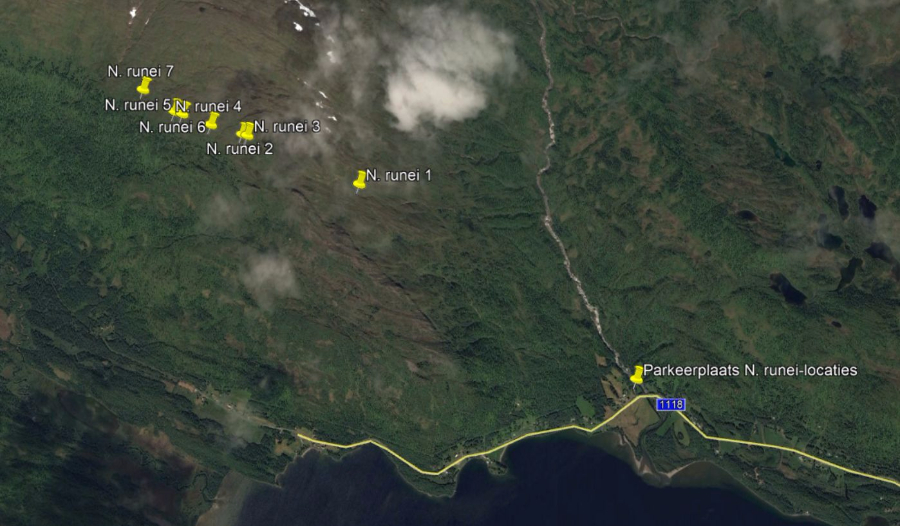 Locaties N. runei Artfjället Rönas (Z.) 15 en 17 juli 2017.jpg