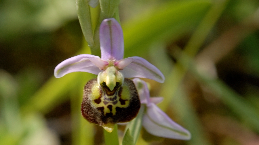 diversen 2013 054.jpg