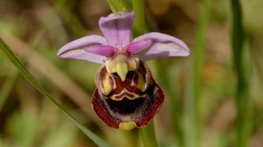 diversen 2013 053.jpg