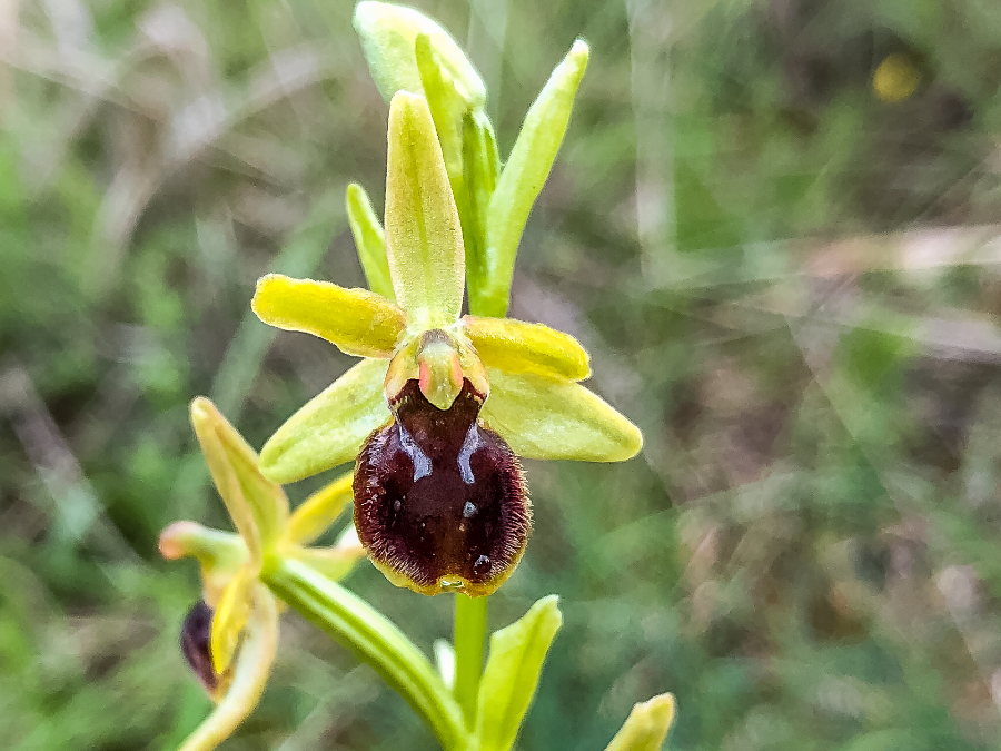 PAVL0594.jpg