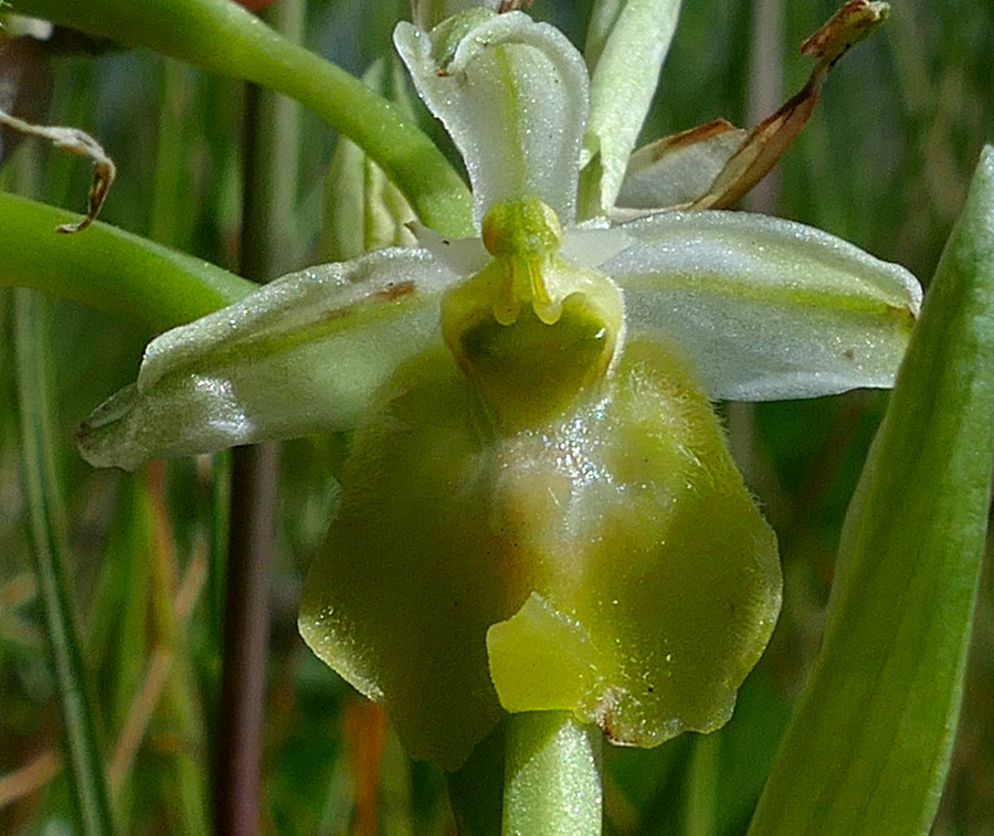 1-P1570177.JPG