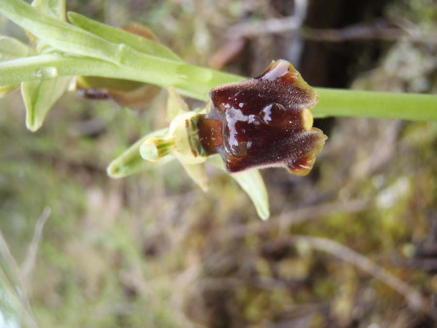 onduidelijke opname, wie weet kan iemand er toch een naam op plakken?