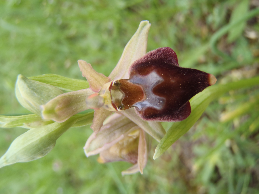 zelfde als vorige foto (?) , maar welke?