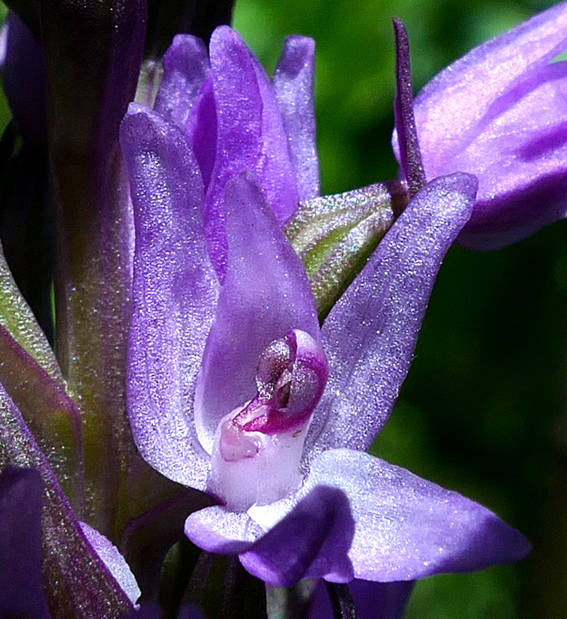 1-P1600828.JPG