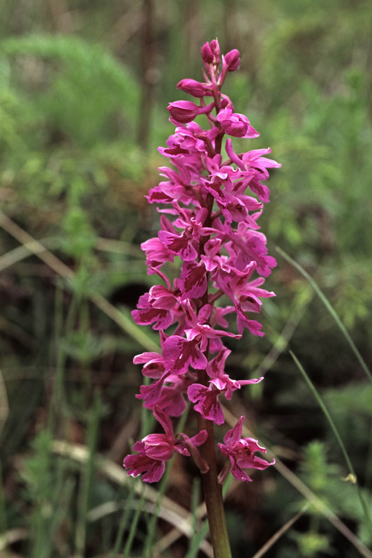 D0505BG1434A.jpg