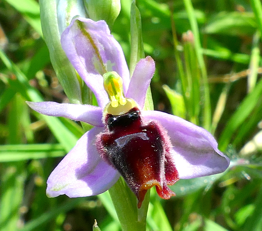 1-P1560017.JPG