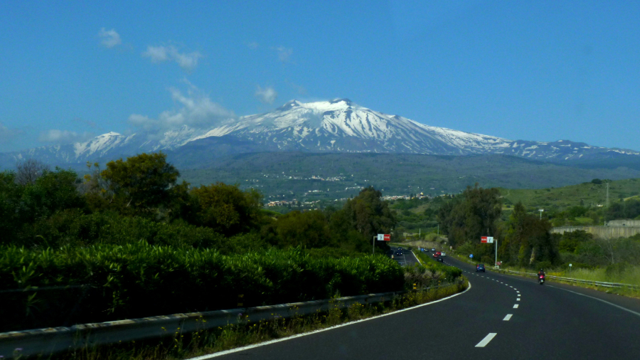 1-P1000618.JPG