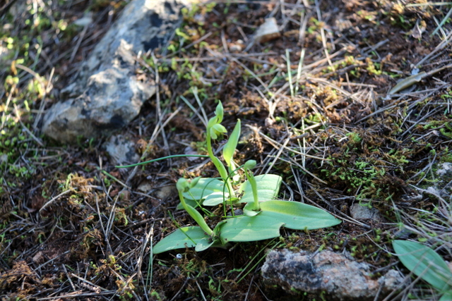 Gata de gorgos wandeling (18).JPG