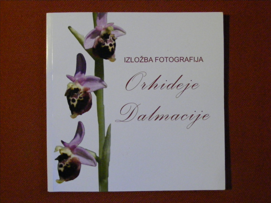 DSCF1272.JPG