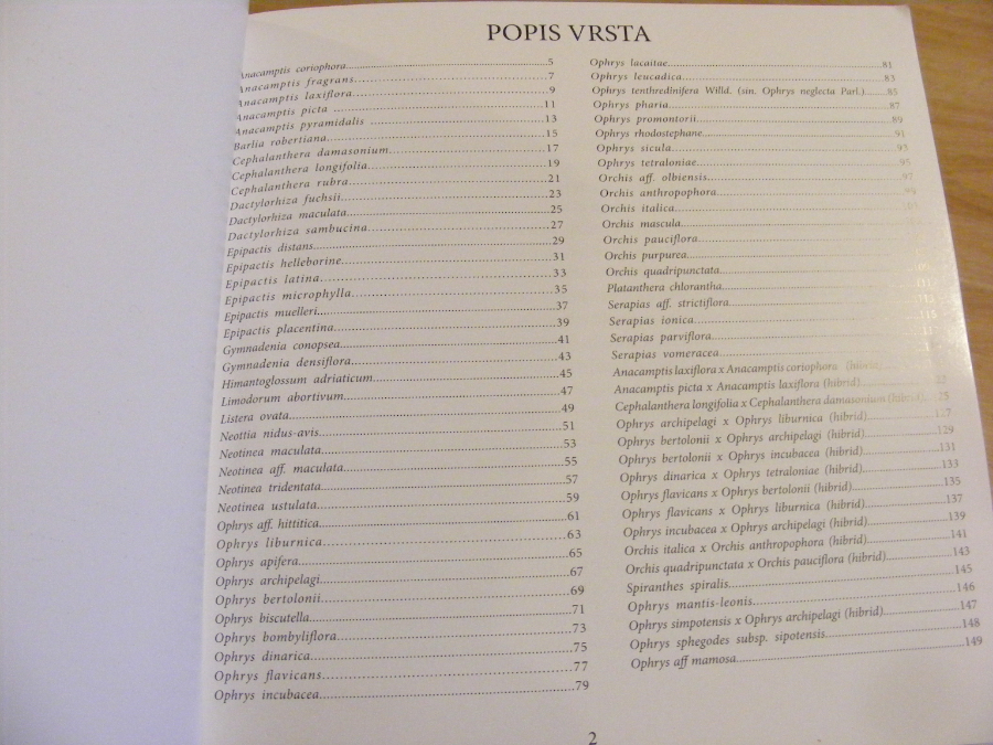 DSCF1273.JPG