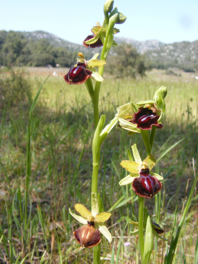 DSCF1161.JPG