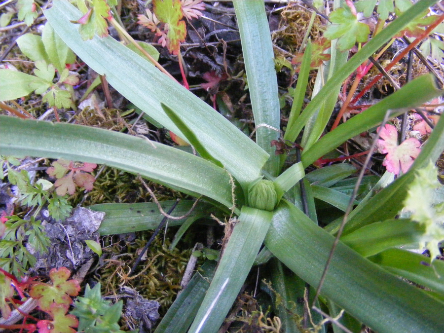 DSCF0941.JPG