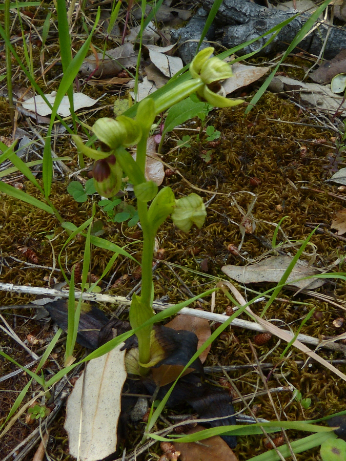 P1350217.JPG