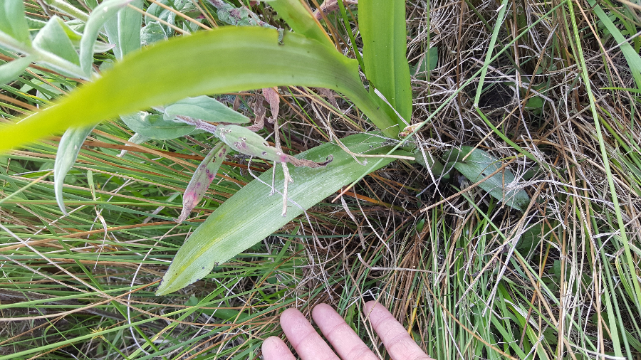 20190702_200716.jpg