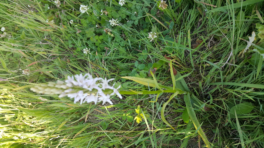 20190626_195131.jpg