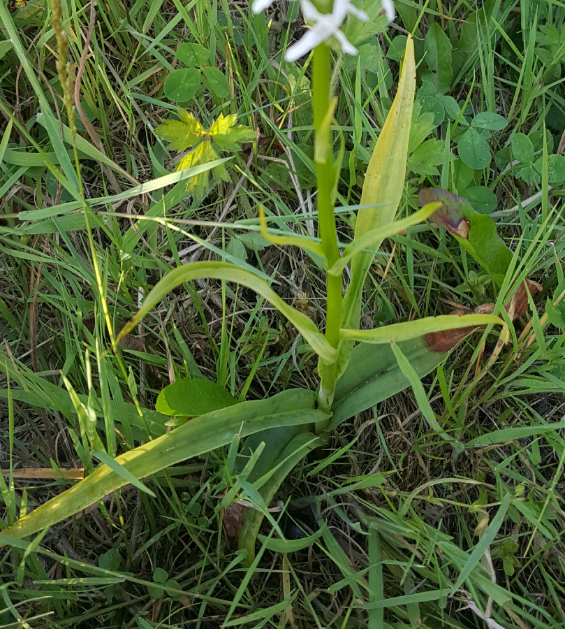 20190626_221959.jpg